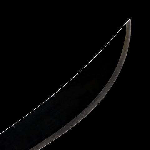 One Piece anime katana sword collection item