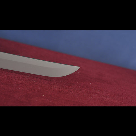 Cyberpunk Game Katana Replica – Hardwood Scabbard and Brass Guard Design -sgl1470U-COOLKATANA
