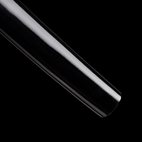 Wakizashi with saya, highlighting the seamless blend of form and function

