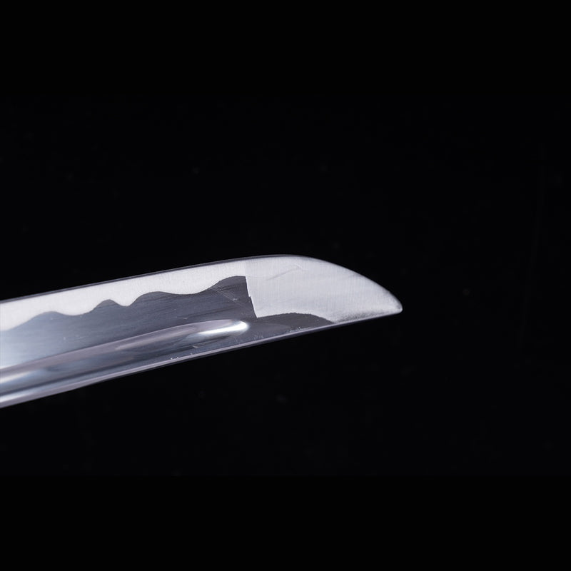 Hand Forged Japanese Iaito Practice Sword Carbon Blade Alloy Tsuba Uns 