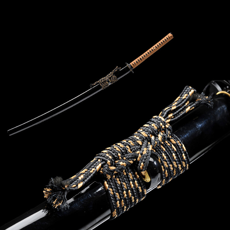 Handgeschmiedetes japanisches Iaito-Übungsschwert 1060 Kohlenstoffstahl Unscharfer Vollerl - COOLKATANA 