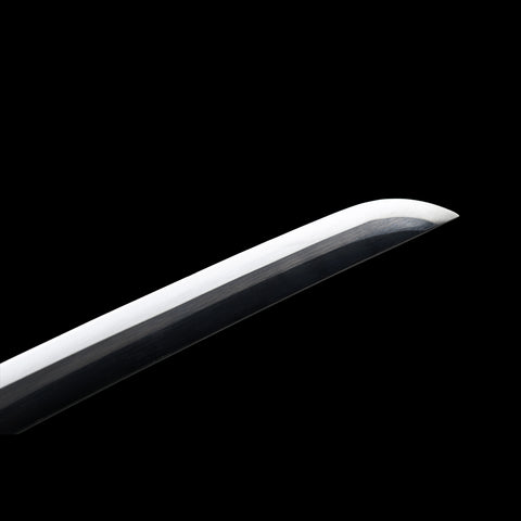 Wall-mounted katana display of Shinobu Kocho’s black sword
QQ-0105-U