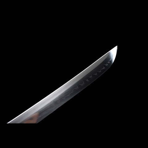 Handmade Japanese Tachi Sword, Murasakino Hantachi T10 Steel Full Tang Blade Painted Saya-COOLKATANA-QQ-0224-U