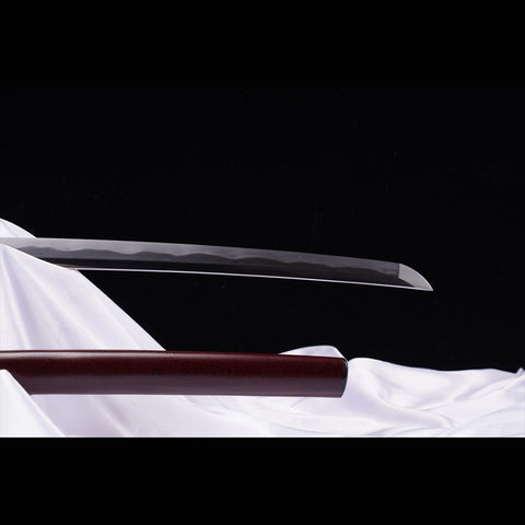 Hand Forged Japanese Samurai Katana Sword Folded Steel Sashikomi A+ Polishing Grade Full Tang-COOLKATANA-ZS-0001-U-1-U