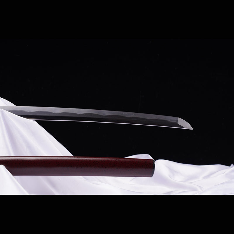 Hand Forged Japanese Samurai Katana Sword Folded Steel Sashikomi A+ Polishing Grade Full Tang 