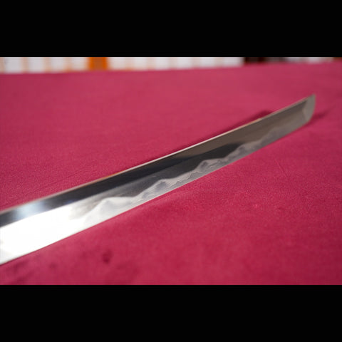 Hand Forged Japanese Samurai Katana Sword Folded Steel Sashikomi A+ Polishing Grade Full Tang-COOLKATANA-ZS-0001-U-1-U